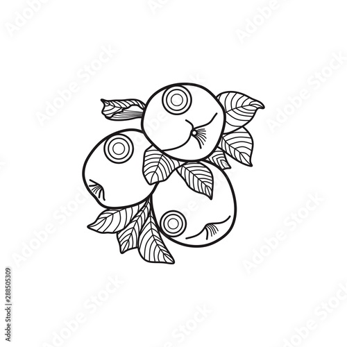 Fruit Black Line Apple Nature Farm Agriculture Business Company Stock Vector Logo Design Template
