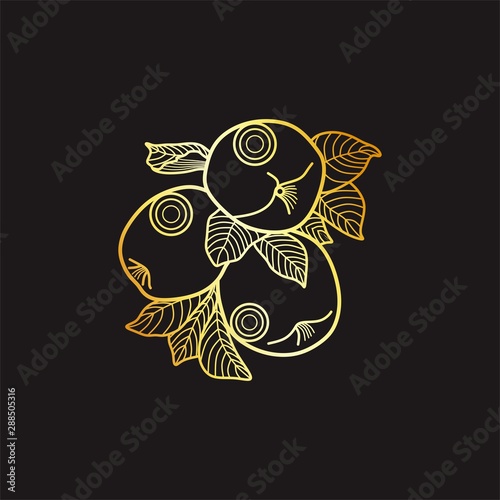 Fruit Gold Line Apple Nature Farm Agriculture Business Company Stock Vector Logo Design Template
