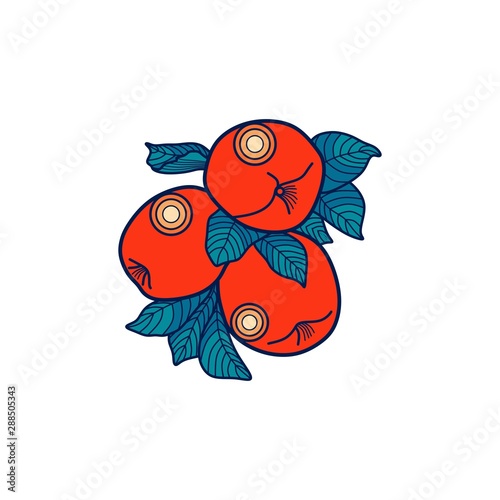 Fruit Color Apple Orange Nature Farm Agriculture Business Company Stock Vector Logo Design Template