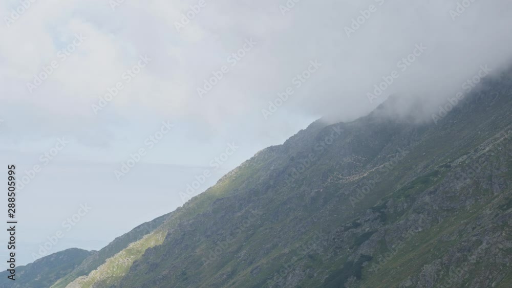 Sheep feeding in herd under clouds on top of the mountain 4K video Sheep feeding in herd under clouds on top of the mountain 4K video