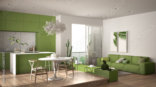 Eco green interior design, colored living room with sofa, kitchen, dining table, succulent potted plants, parquet floor, window on panoramic balcony. Sustainable architecture