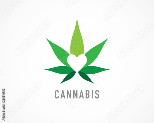 Cannabis leaf, medical marijuana, CBD oil, symbol and logo. Vector design