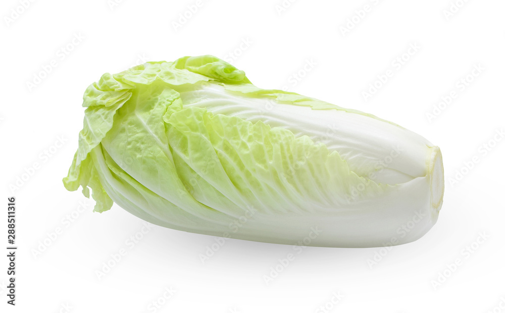 fresh chinese cabbage isolated on white background fresh chinese cabbage isolated on white background