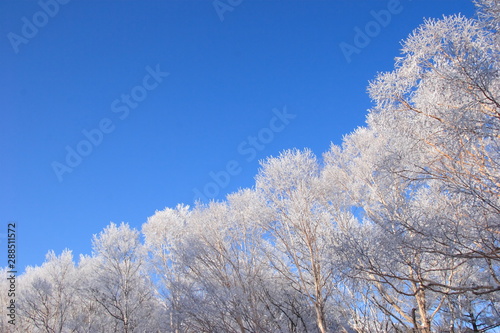 雪山