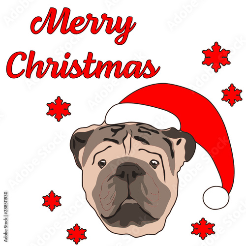 Merry Christmas British Bulldog Vector. Illustration dog. Christmas card concept template. Dog with Santa hat.