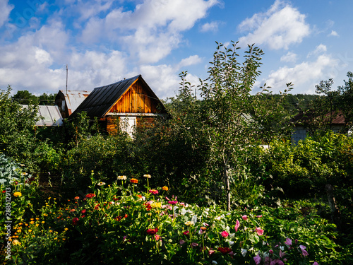 Old wooden house in the village. Own plot with a shack and a vegetable garden