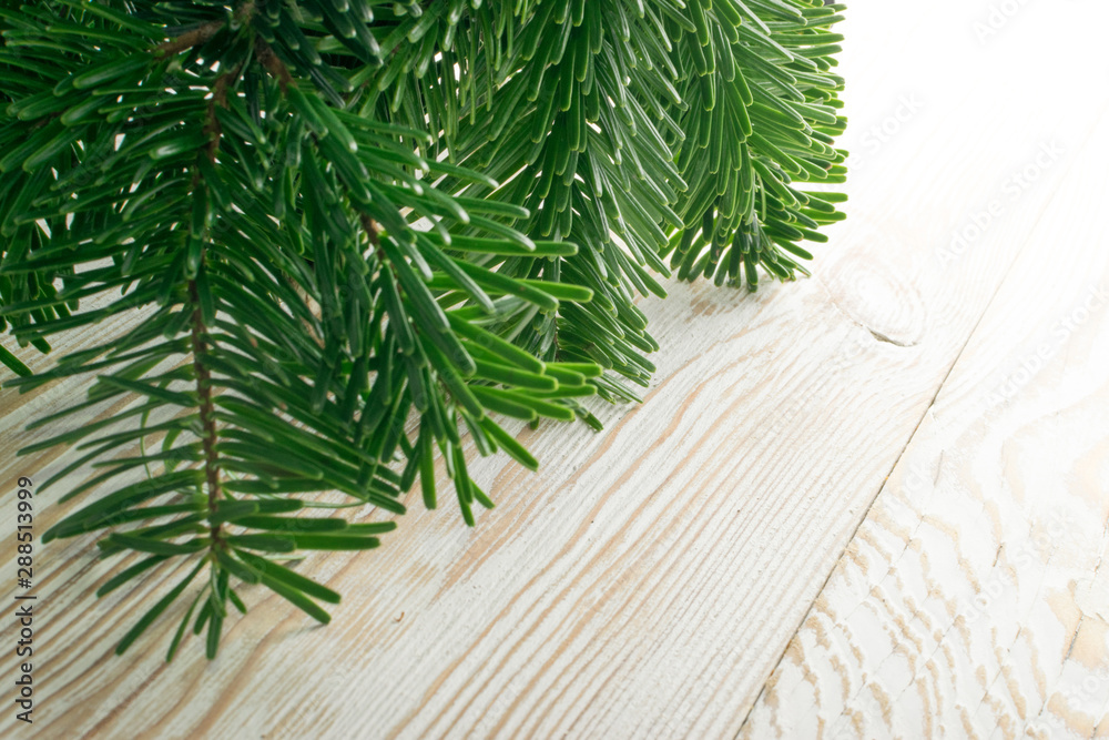 Natural green spruce twig background or texture Natural green spruce twig background or texture