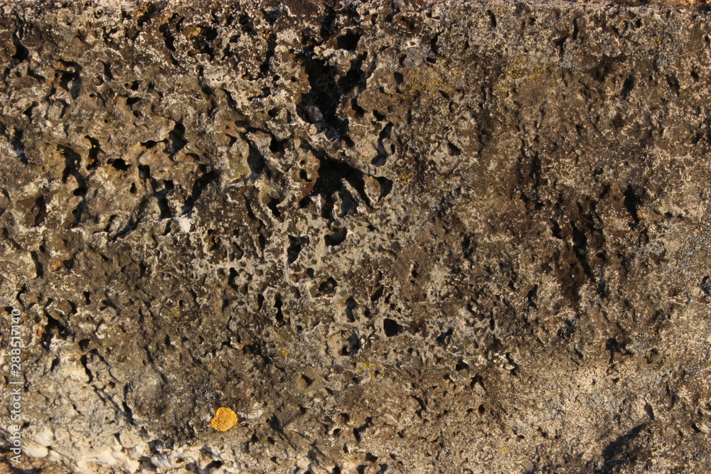 concrete, texture concrete, texture