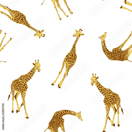 seamless pattern giraffe vector illustration on white background