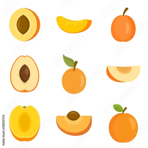 Apricot icons set. Flat set of apricot vector icons for web design