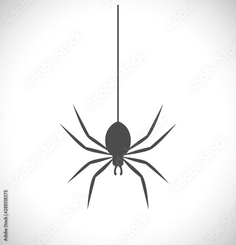 spider black icon