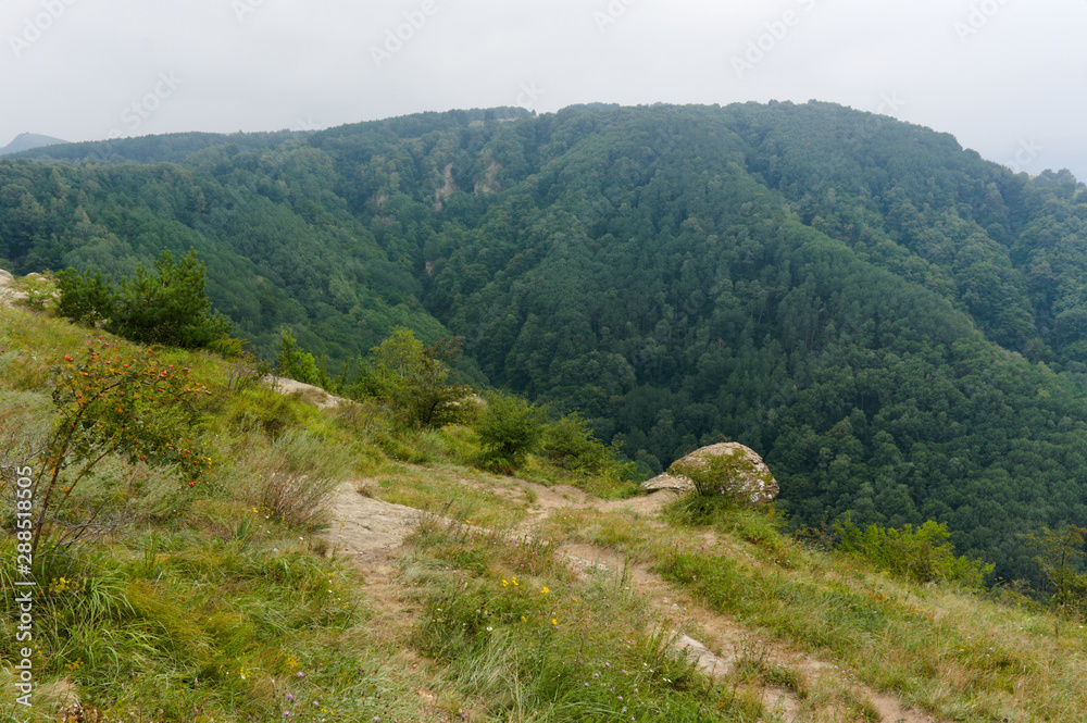 Green lawn grass hill landscape in the caucasus mountains near kislowodsk Green lawn grass hill landscape in the caucasus mountains near kislowodsk