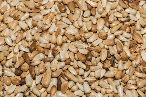 Canvas Print Closeup of Safflower seeds in a pile