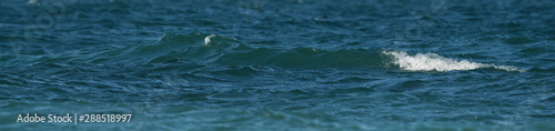 Rough ocean waves during high tide at Busaiteen
