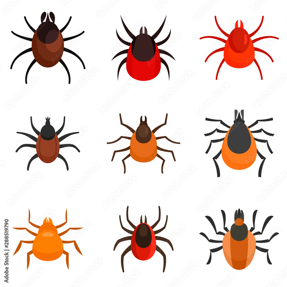 Mite icons set. Flat set of mite vector icons for web design Mite icons set. Flat set of mite vector icons for web design