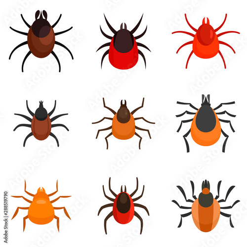 Mite icons set. Flat set of mite vector icons for web design photo
