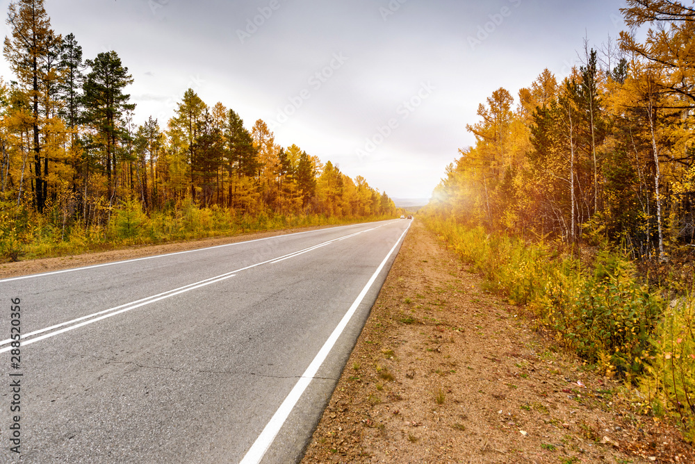 Fototapeta premium A curving autumn road with colorful forest and mountain in the far distance