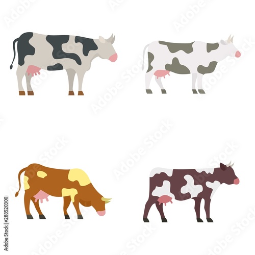 Cow icons set. Flat set of cow vector icons for web design