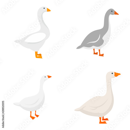 Goose icons set. Flat set of goose vector icons for web design