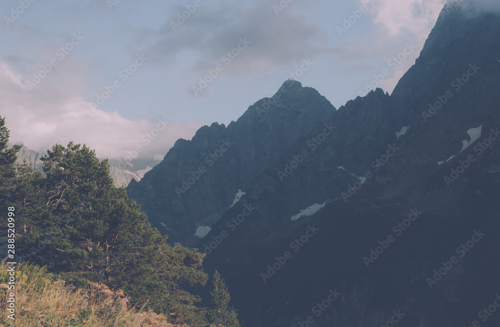 Obraz premium Panorama of mountains and forest scene in national park of Dombay, Russia