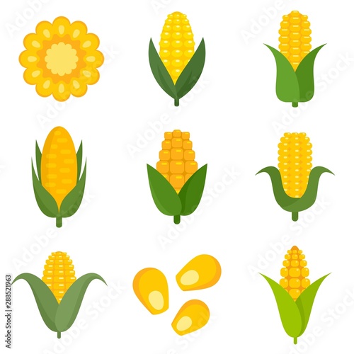 Corn icons set. Flat set of corn vector icons for web design