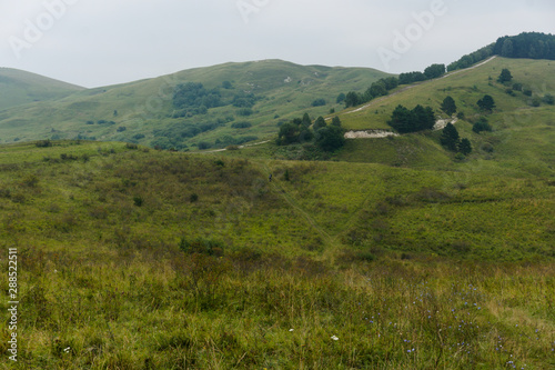 Green lawn grass hill landscape in the caucasus mountains near kislowodsk