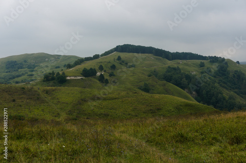 Green lawn grass hill landscape in the caucasus mountains near kislowodsk