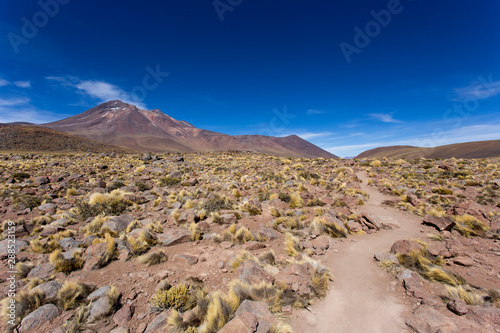 View of andes landscape photo