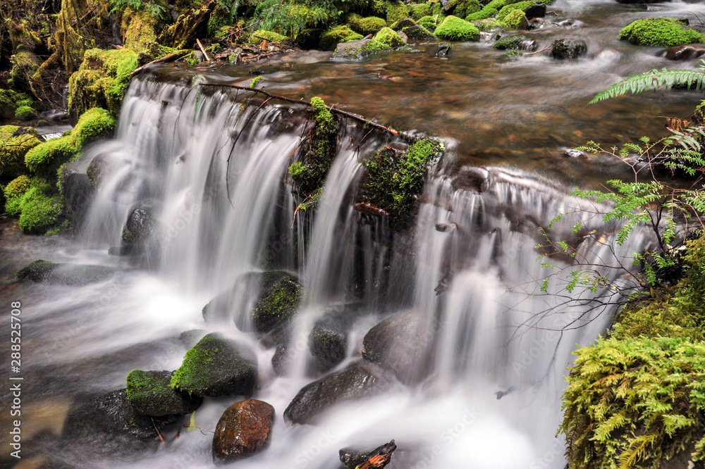 Obraz premium Olympic Stream