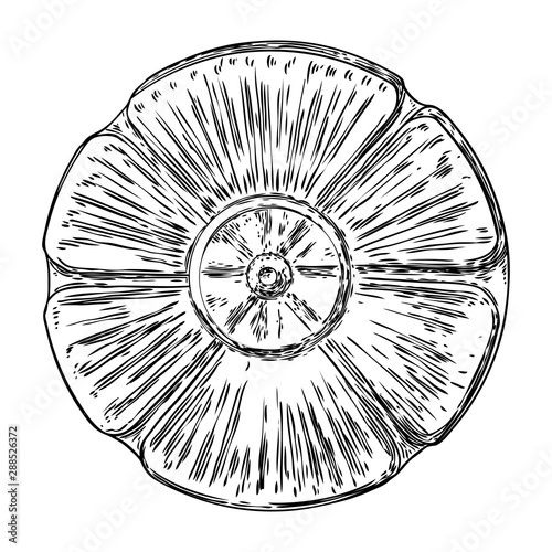 Baroque ancient vintage style floral circular design element. Marble rosette drawing for fashionable pattern in black white for textile, scarves, backgrounds. Vector.