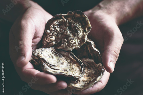 Fresh large oysters in male hands on a dark background. Delicious seafood 