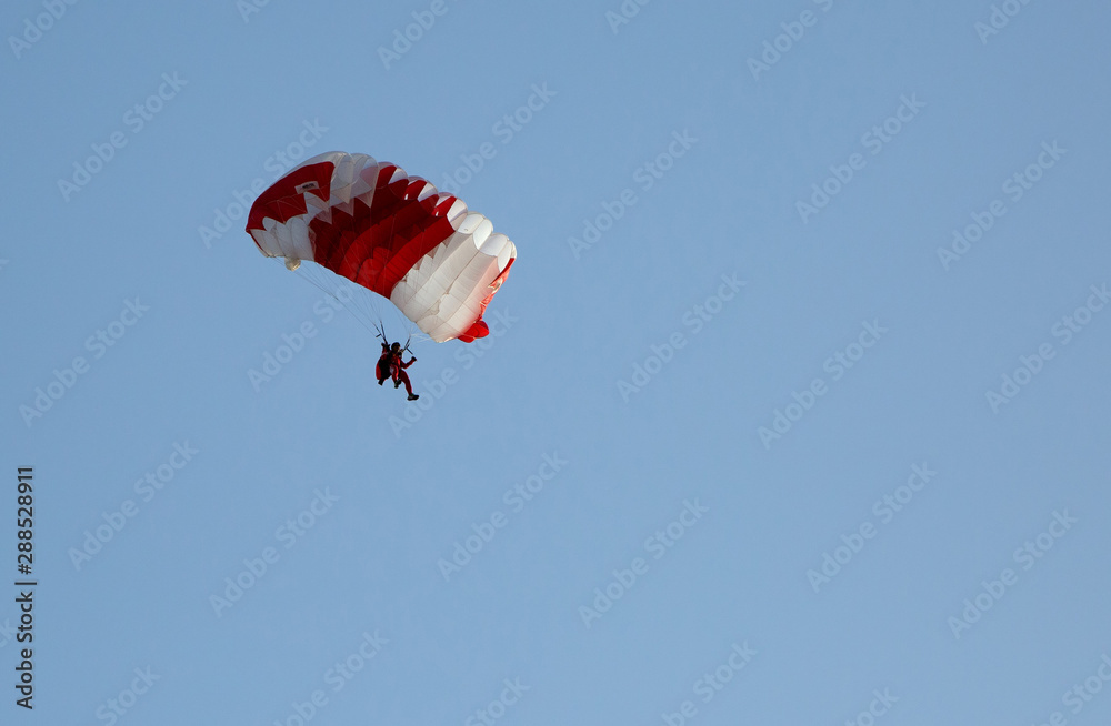 Parachute display team performs during cricket festival at Isa Town, Bahrain Parachute display team performs during cricket festival at Isa Town, Bahrain