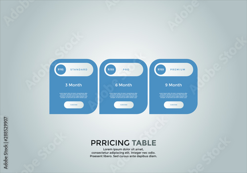 Pricing table design. vector. order, box, button, list for web. price. mobile.