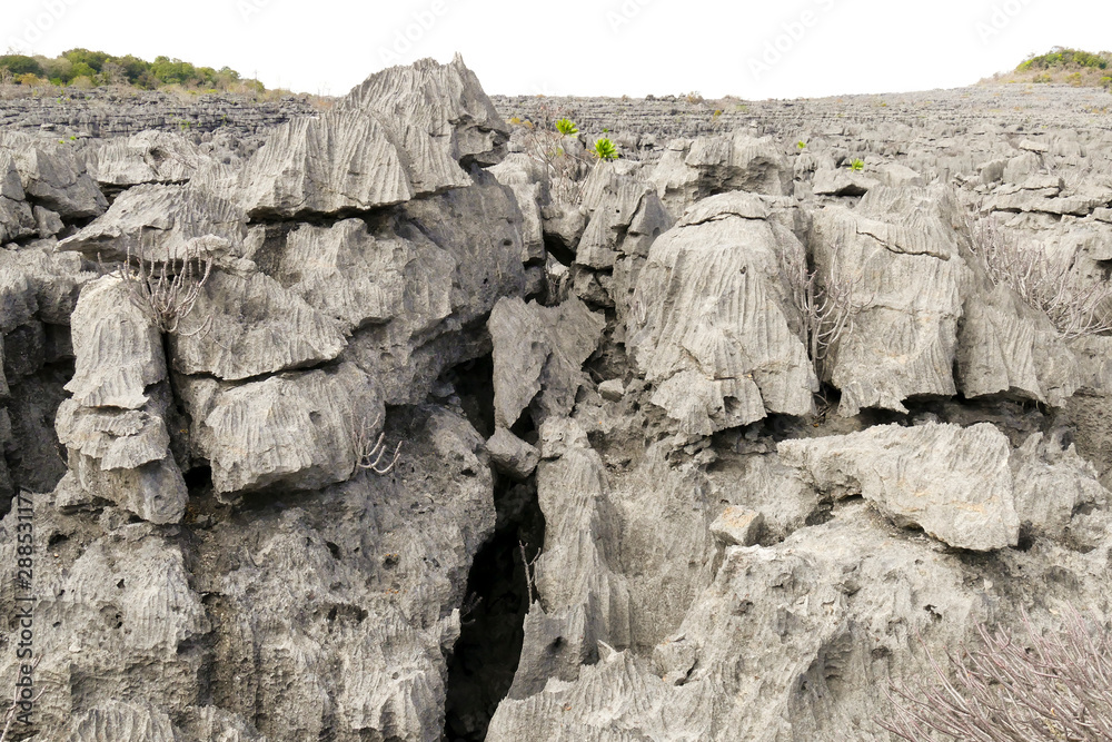 The Tsingy of Ankarana, northern Madagascar