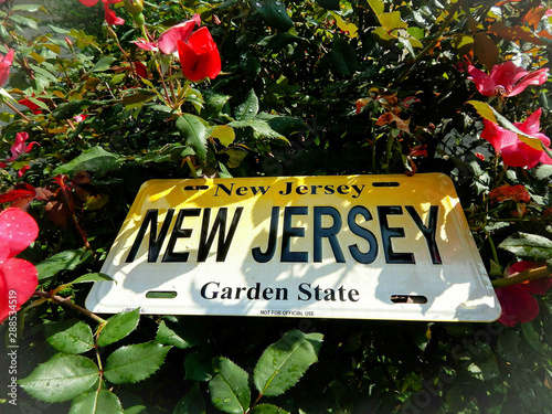 New Jersey License Plate In A Garden