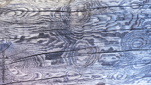 Detalle de un poste de madera con dibujos naturales. photo