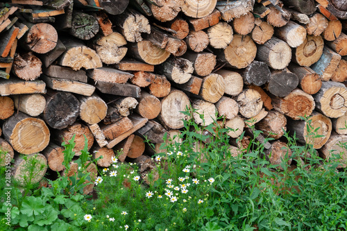 A picturesque pile of wood fuel and green grass in the countryside.