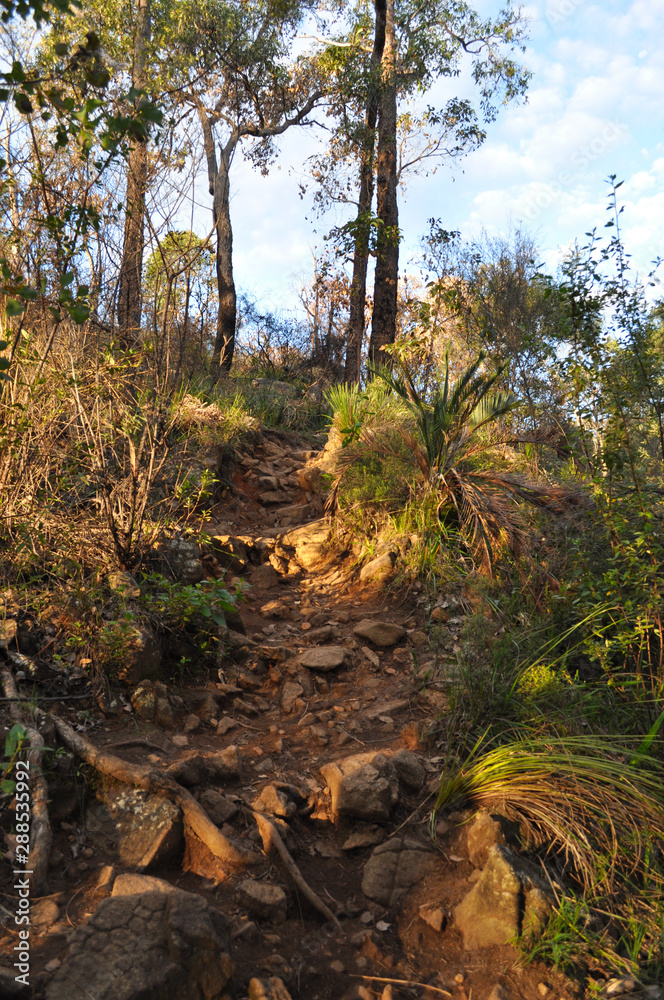 Steep and rocky path, Whistlepipe Gully Walk, Mundy Regional Park, Kalamunda, Western Australia, Australia