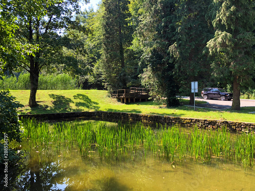 Artificial lakes in a Forest park Jankovac or Umjetna jezera u Park sumi Jankovac - Papuk nature park, Croatia photo