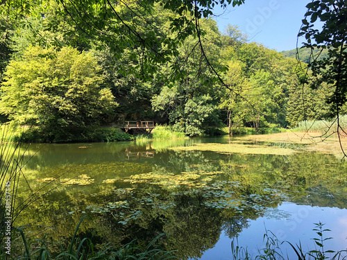 Artificial lakes in a Forest park Jankovac or Umjetna jezera u Park sumi Jankovac - Papuk nature park, Croatia photo