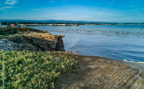 Canvas Print Monterey