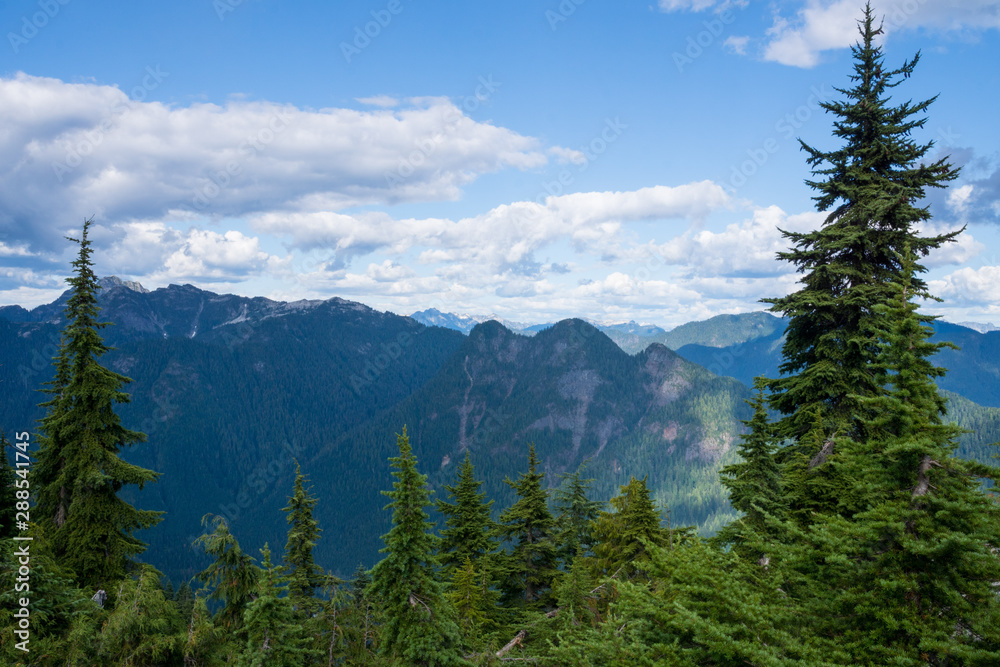 scenic panorama over the mountains of North Vancouver in summer, snow pine trees, Canada, BC