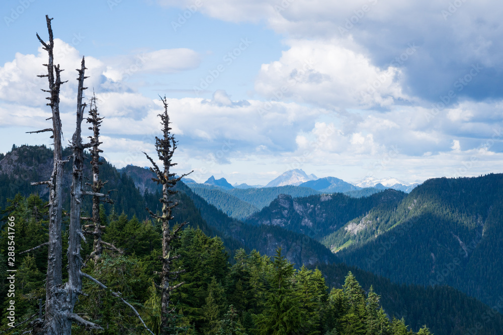 scenic panorama over the mountains of North Vancouver in summer, snow and burned trees, Canada, BC