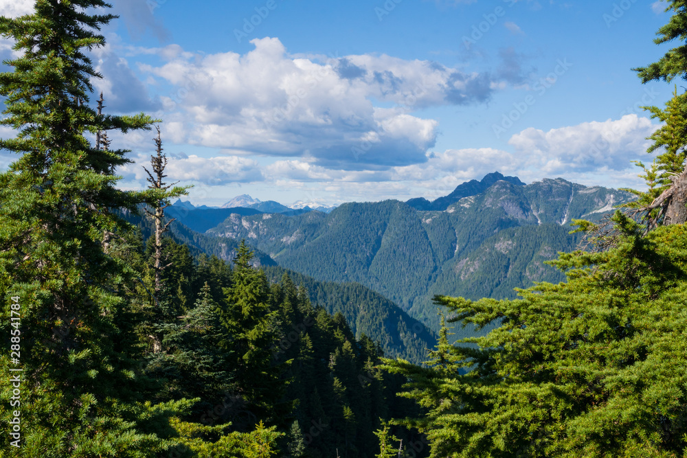scenic panorama over the mountains of North Vancouver in summer, blue sky and green trees, Canada, BC