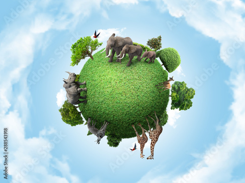 Canvas Print Green peace earth, miniature planet, globe concept showing a green, peaceful and