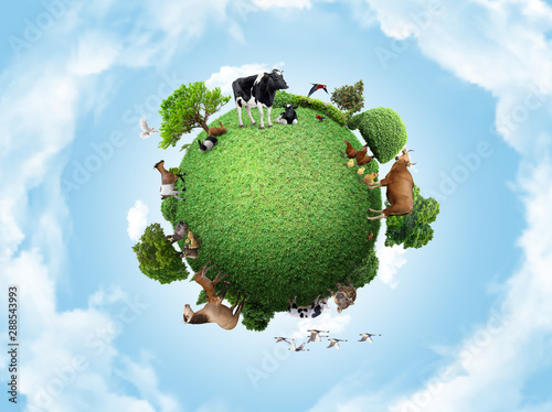 Fototapeta Naklejka Na Ścianę i Meble -  Green peace earth, miniature planet, globe concept showing a green, peaceful and animals poultry life
