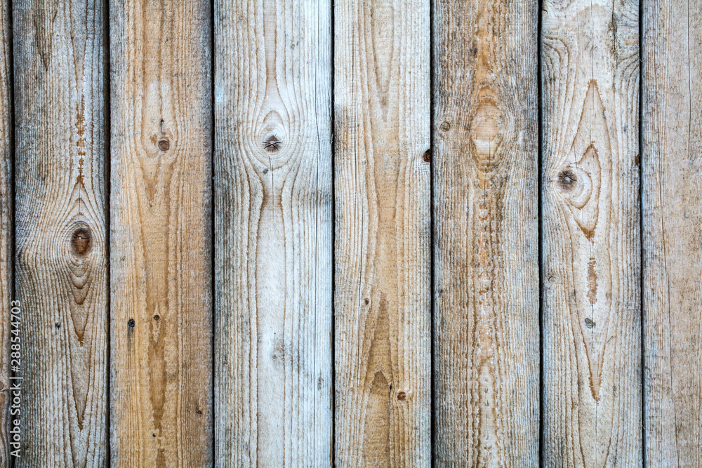 Background from pine boards in light gray color. Background from pine boards in light gray color.