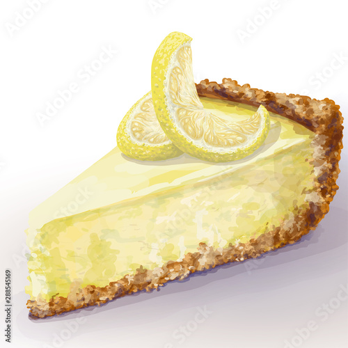 Vector piece of cheesecake with airy and tender, delicate creamy-curd cheese. Crisp and crumble cake with back, appetizing, realistic, homemade cakes with lemon, decorate top. Healthy, cottage pastry