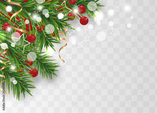 Christmas and Happy New Year decoration with Christmas tree branches and holly berries, golden ribbons and stars isolated on transparent background. Vector
