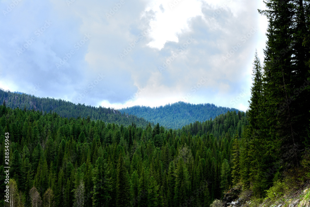 Landscape Nature Travel Blue Sky Mountain Tourism Scenic Panorama Peak Forest Pine Trees Green Siberia